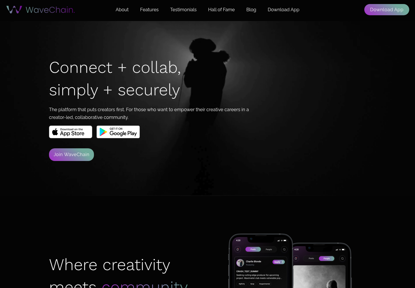 WaveChain website screenshot